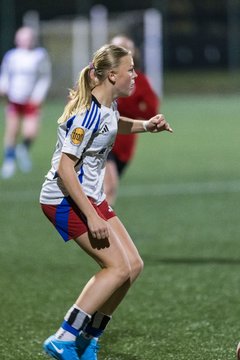 Bild 197 - wBJ Hamburger SV - Eimsbuettler TV 2 : Ergebnis: 16:0